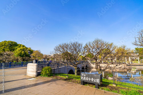 武蔵国分寺公園のエントランス（2021年3月） © picture cells
