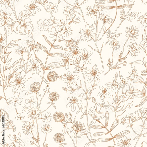 Flower pattern. Seamless background with floral herbs. Vintage botanical monochrome print with wild field and meadow plants. Repeatable herbal texture. Hand-drawn vector illustration in retro style