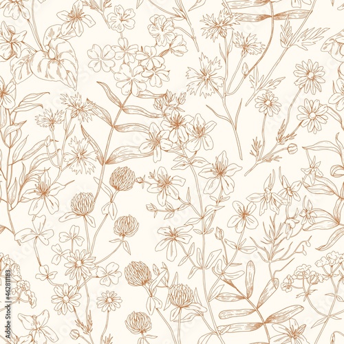 Flower pattern. Seamless background with floral herbs. Vintage botanical monochrome print with wild field and meadow plants. Repeatable herbal texture. Hand-drawn vector illustration in retro style