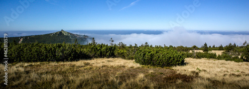 Fog in the mountain forest in the Karkonosze National Park