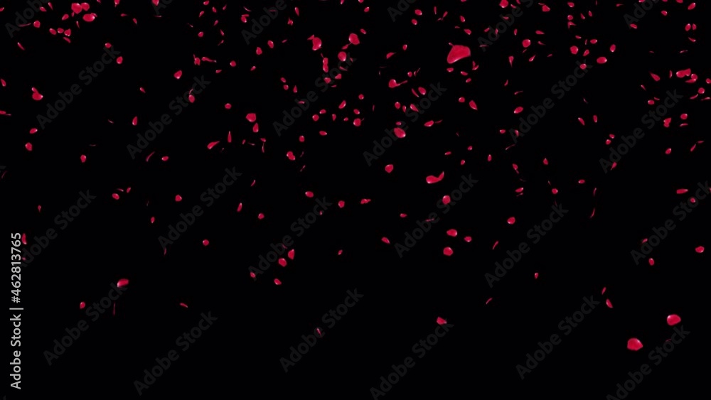 Falling Rose Petals. This work have alpha cannel. Place on footage or background. Easy to adjust color. Falling Rose Petals. This work have alpha cannel. Place on footage or background. Easy to adjust color.