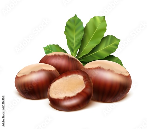 vector icon. Chestnut with leaves. Isolated on white background.