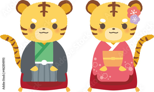 着物で座布団に座る寅
