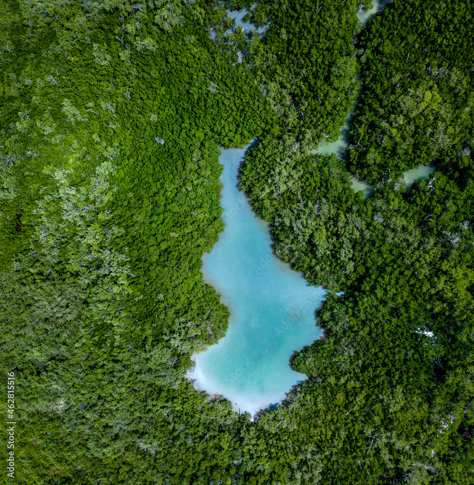 Aerial view of a turquoise lake and rain forest, Holbox, Yucatan, Mexico Aerial view of a turquoise lake and rain forest, Holbox, Yucatan, Mexico