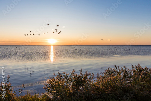 Germany, Mecklenburg-West Pomerania, Baltic Sea, Ruegen Island, Schaprode, Schaproder Bodden, Cranes (Grus grus) flying above sea at sunset photo