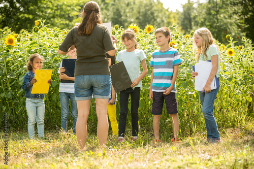 School children learning about nature in a sunflower field