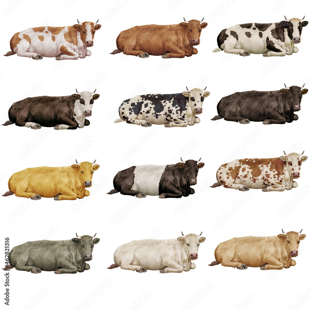 Porte-Clés Bois Vache Couché – Animal Ferme Fait Main – Qualité, Multicolore – Cadeau Original