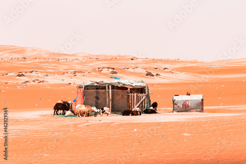 Animal pen in the desert, Wahiba Sands, Oman