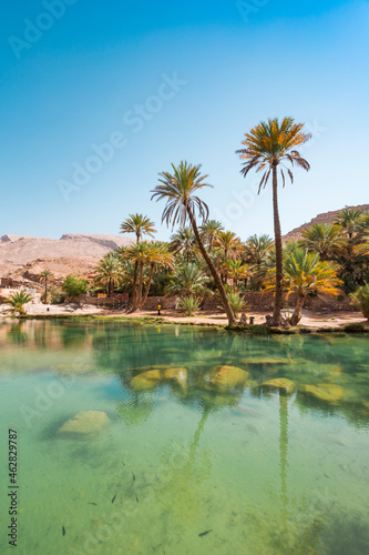 Arabia, Sultanate Of Oman, Palms in Wadi Bani Khalid photo