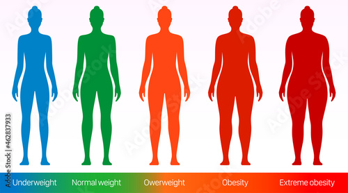 Women body mass index vector poster. Adult woman with different bodyweight sizes from underweight to overweight. photo