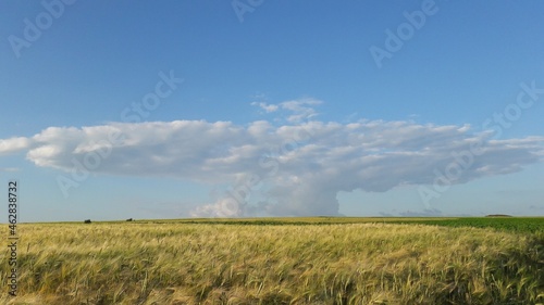 A boat in the sky and above a wheat field.