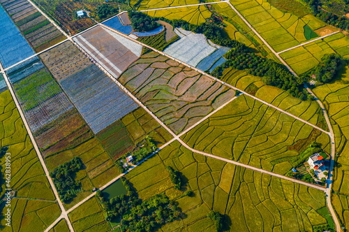 Nansha district in guangzhou, guangdong province scenery
 photo