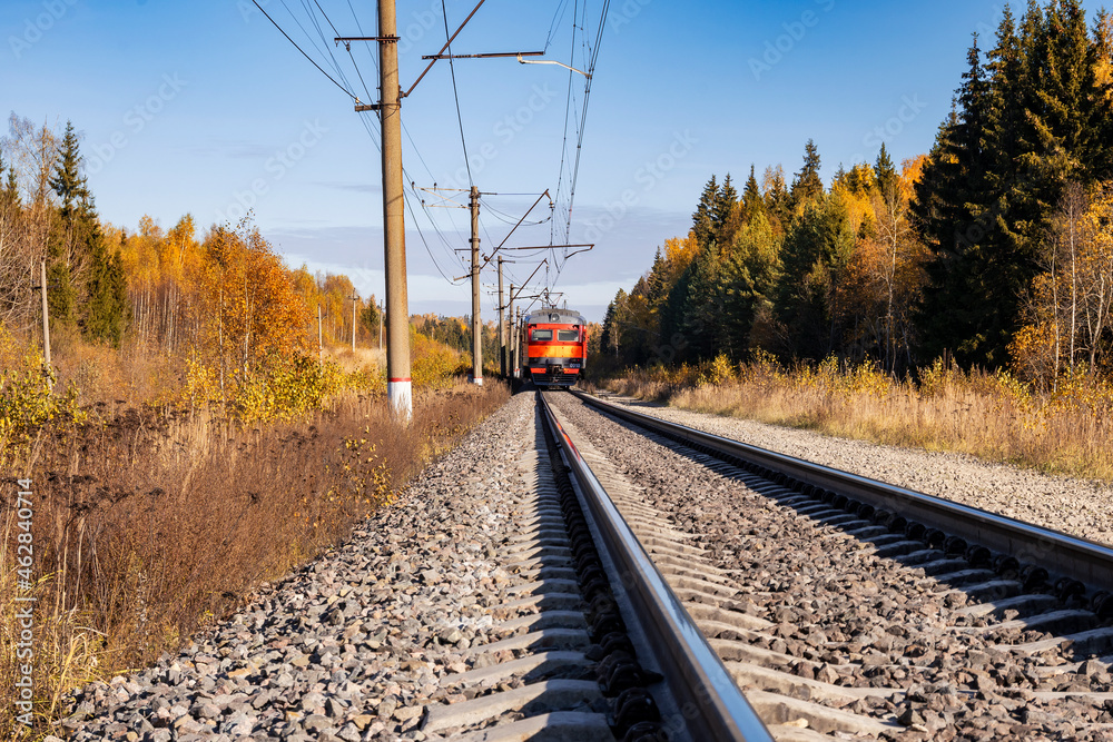A red-coloured electric train runs along the railway in a forest belt. A red-coloured electric train runs along the railway in a forest belt.