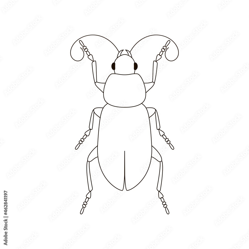 Beetle vector icon. Outline illustration Beetle vector icon. Outline illustration