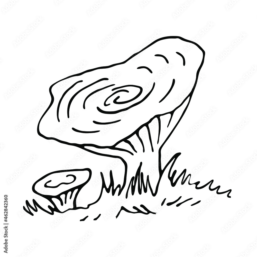 Forest mushrooms. Season decorative design. Isolated vector element on a white background. Forest mushrooms. Season decorative design. Isolated vector element on a white background.