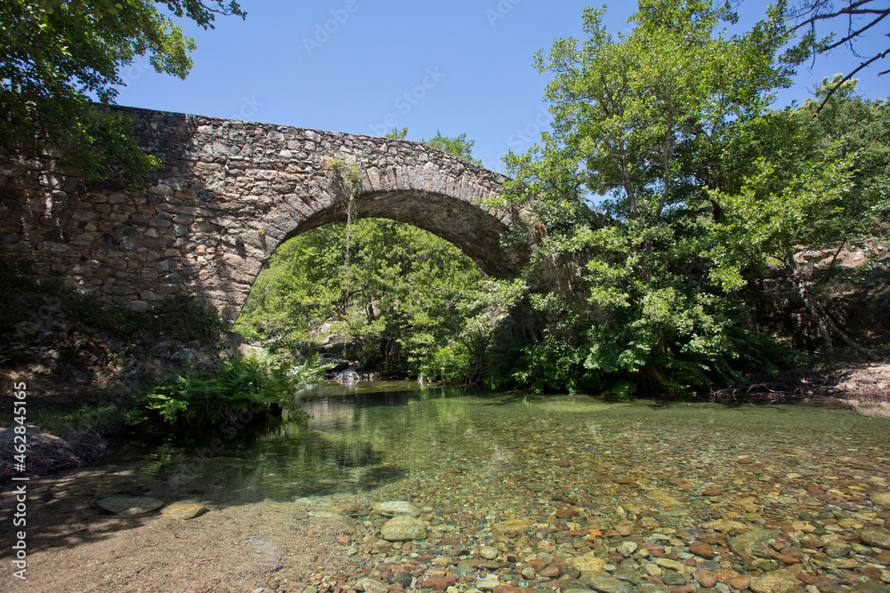 Pont de Muricciolu over Viru stream at Albertacce, Corsica, France Pont de Muricciolu over Viru stream at Albertacce, Corsica, France