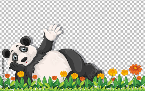 Panda bear laying on green grass on transparent background
