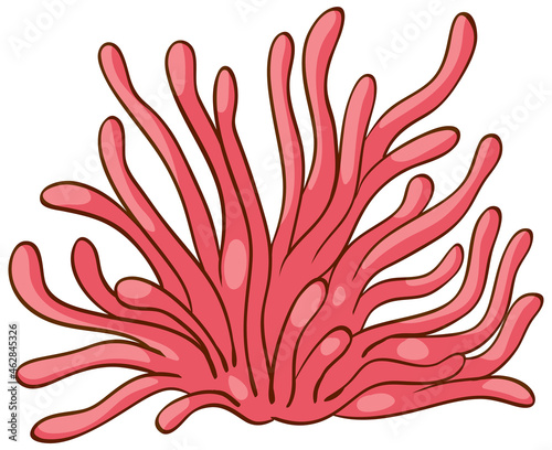 Pink sea coral icon on white background