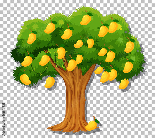 Mango tree on transparent background