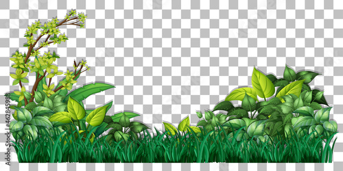 Grass and plants on transparent background for decor