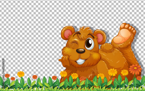 Grizzly bear laying on green grass on transparent background