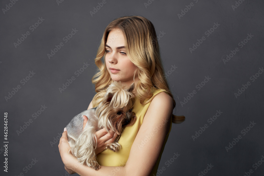 Fototapeta premium pretty woman a small dog pet fun cropped view fashion