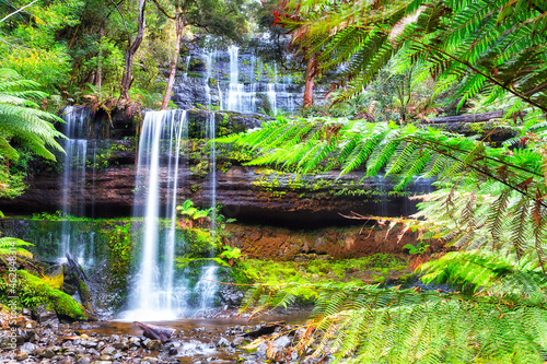 Tas Mt Field russell fall front