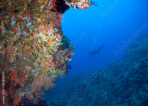 La Revellata reef at Calvi with diver in background at Corsica, France photo