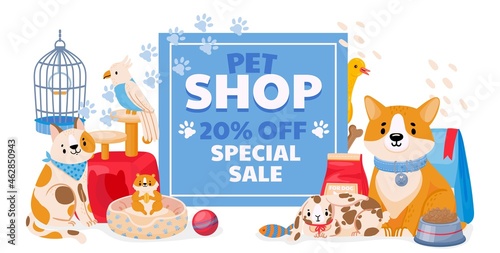 Pet shop sale banner with domestic animals, dog and cat. Zoo store flyer or discount coupon on accessories, toys and supplies vector concept