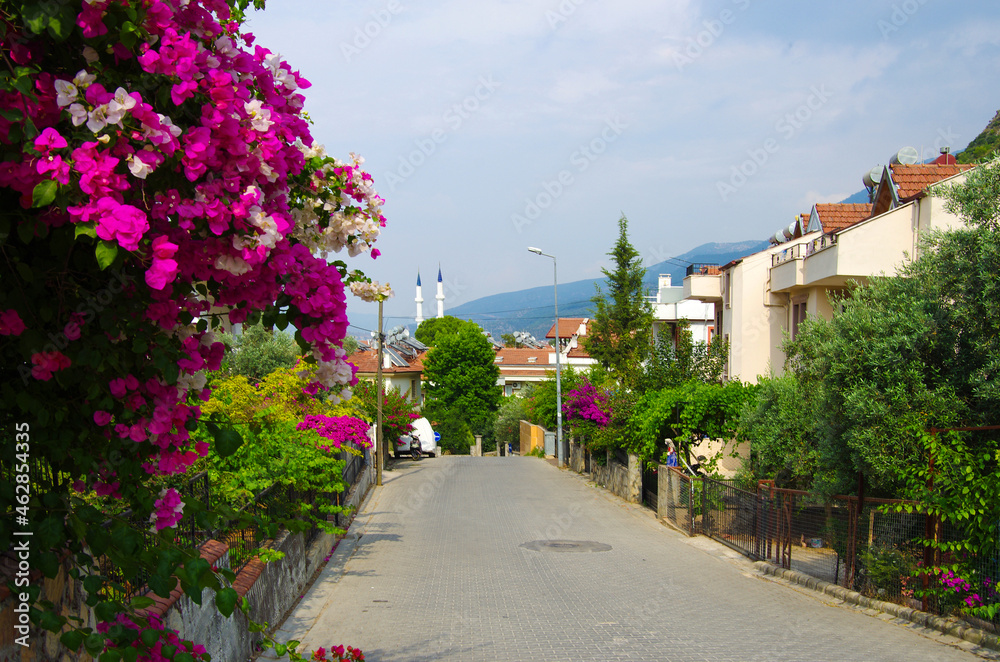 FETHIYE, TURKEY - June, 2019: View of the street  of the city in summer day