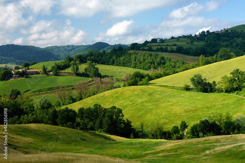 Rural landscape near Salsomaggiore  Parma  at springtime