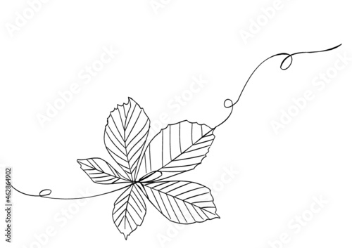 background with leaves minimal line lineart leaf © maiecka