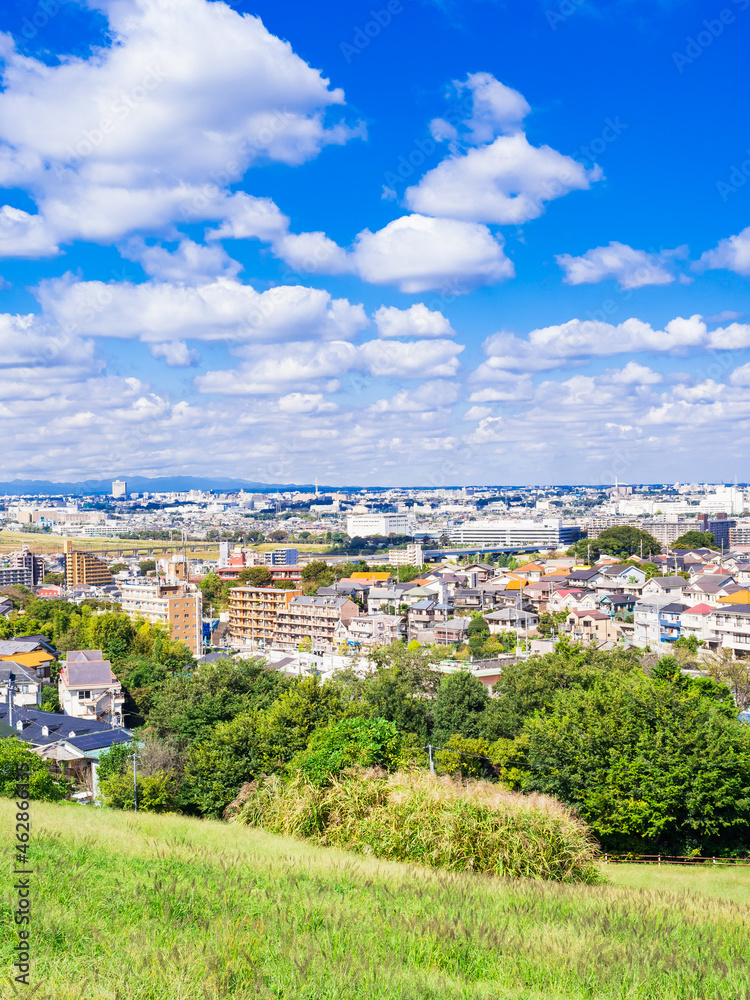 Naklejka premium 郊外の住宅地 東京