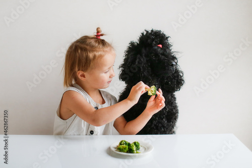 Cute kid girl with dog eating broccoli. The concept of proper healthy nutrition, children and pets. Child and black poodle with vegetables. A child feeds a poodle, an uneducated dog