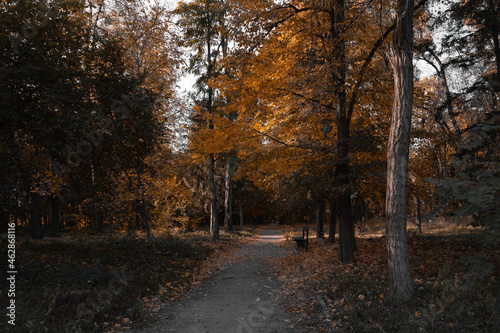 autumn in the park