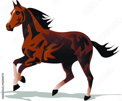 fast horse brown color on a white background