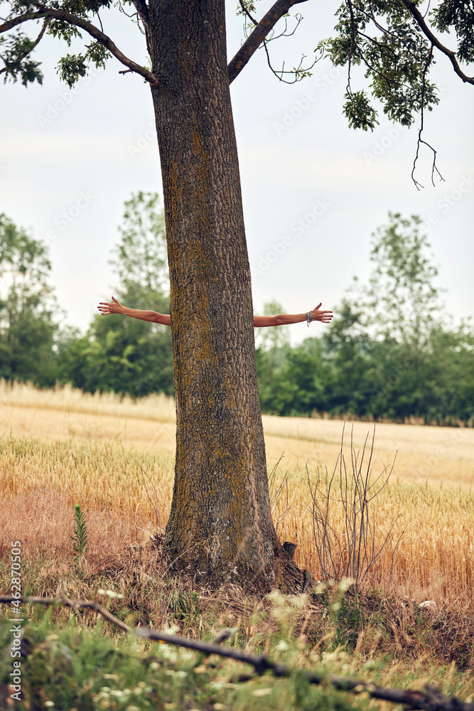 Fototapeta premium Woman embracing and hugging tree in nature.