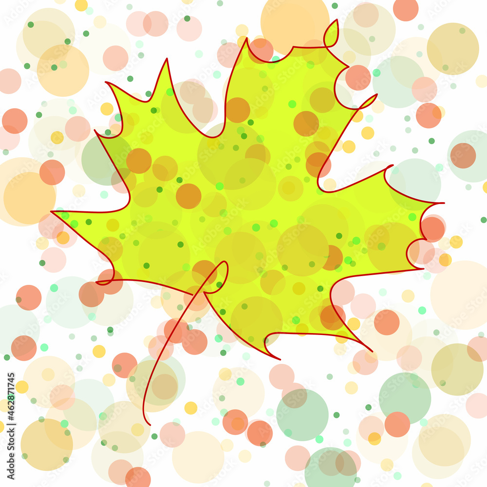 leaf maple