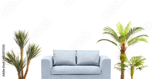 modern living room with trees isolated on white background with clipping path