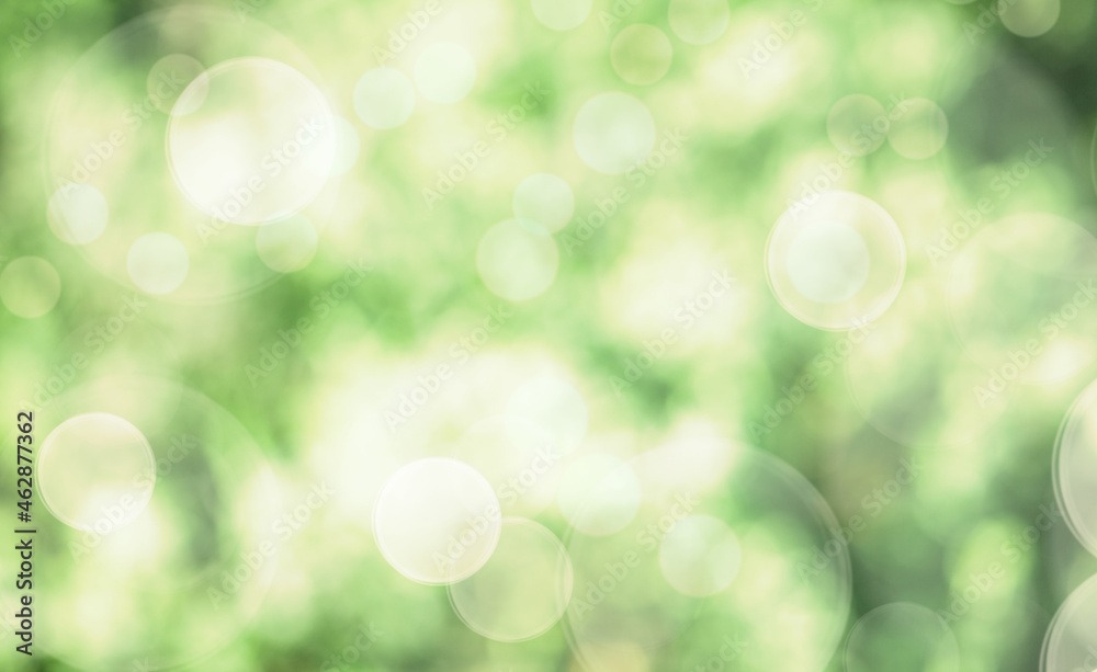 Abstract blurred green bokeh background. Natural soft colours.