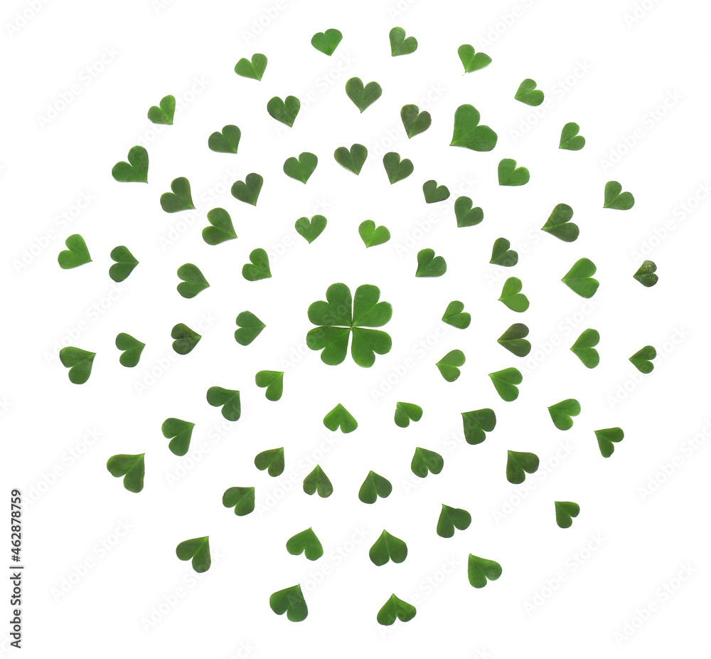 Composition of green clover leaves on white background, flat lay Composition of green clover leaves on white background, flat lay