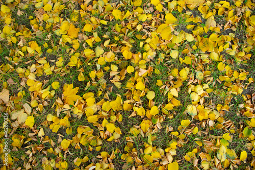 yellow background