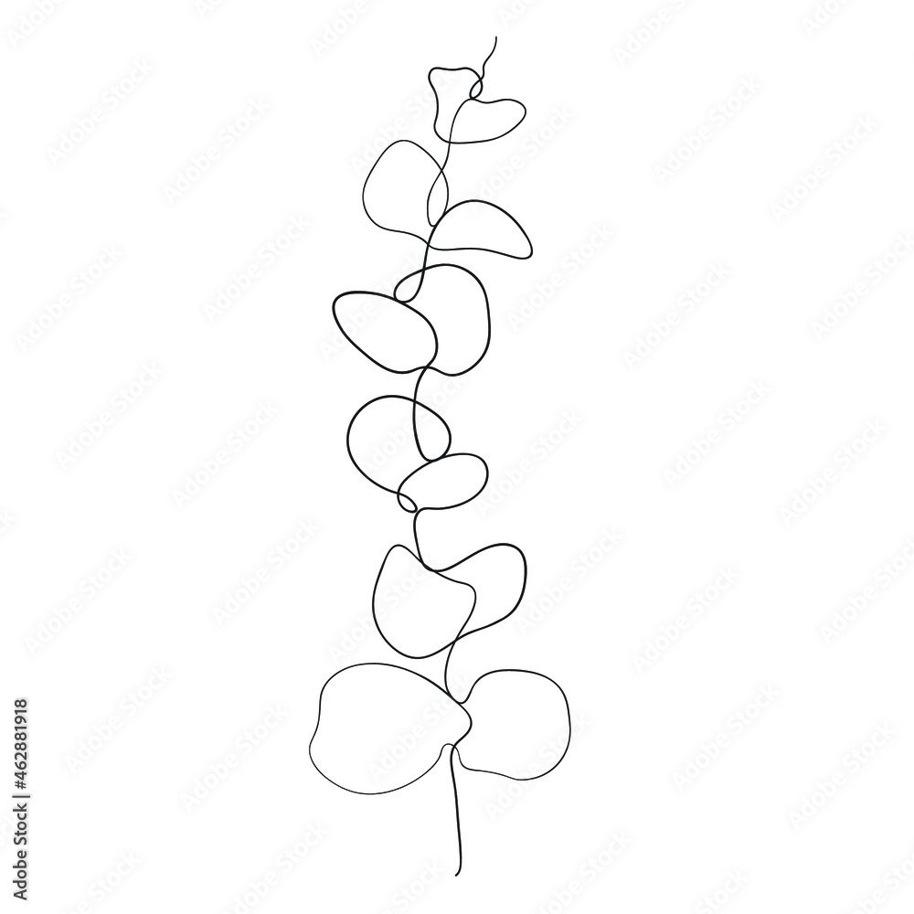 Eucalyptus branch continuous line drawing. One line. Minimalism art. Modern minimal black and white illustration for printing.Vector Minimalism art style. Eucalyptus branch continuous line drawing. One line. Minimalism art. Modern minimal black and white illustration for printing.Vector Minimalism art style.