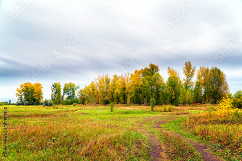 Autumn grove in front of a meadow against a cloudy sky. Autumn landscape
