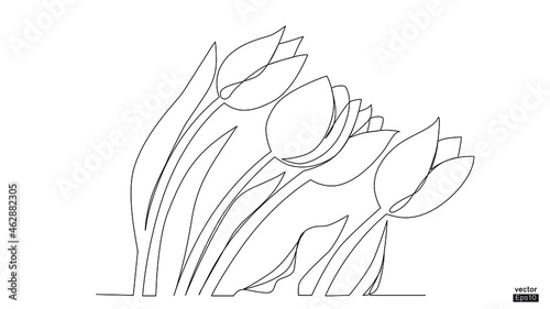 Tulip flower line continuous. Minimalist art. One line drawing. Continuous line drawing. Vector illustration,vector illustration for t-shirt.