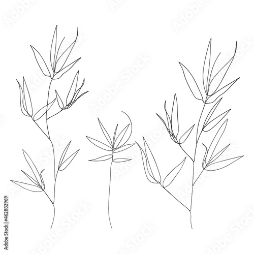 Abstract poster  minimal bamboo leaves continuous line drawing.One line drawing  bambool eaf, nature concept, beauty minimalist,design print graphics style,vector illustration for t-shirt.