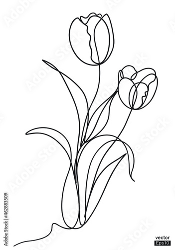 Abstract Tulip flower line continuous. Minimalist art. One line drawing. Continuous line drawing. Vector illustration vector illustration for for t-shirt  cup and printing.