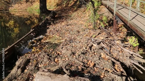 Wallpaper Mural A dam of fallen trees and branches on the river, housing and shelter for beavers against the bright rays of the sun. Nature flora autumn ecology. Torontodigital.ca