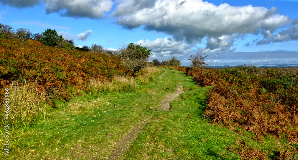 Moorland landscapes in low bright autumn sunshine