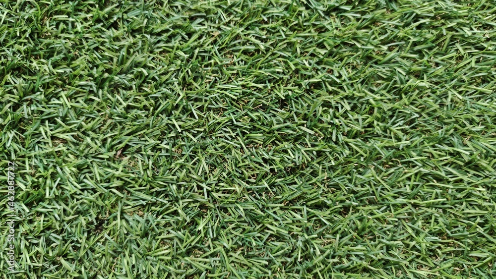 Artificial green grass for background.